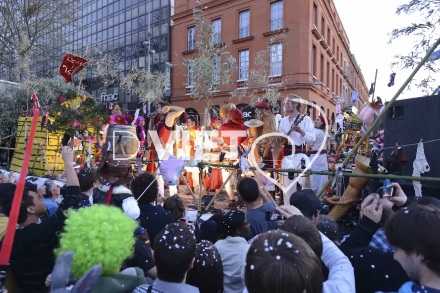 Photo TOULOUSE by VIET - Carnaval