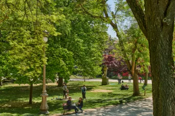 Photo TOULOUSE by VIET - Jardin du grand Rond