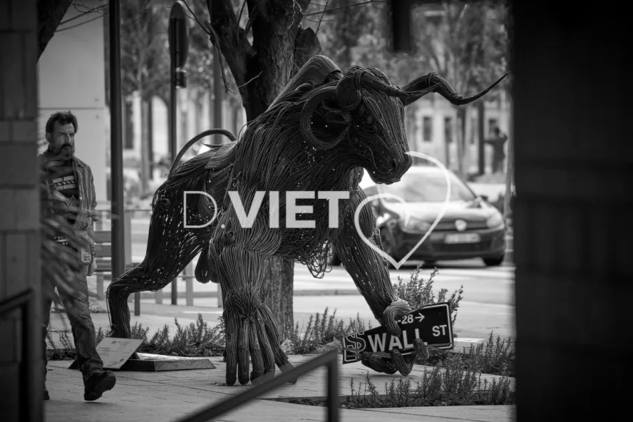 Photo TOULOUSE by VIET - VIET_011111