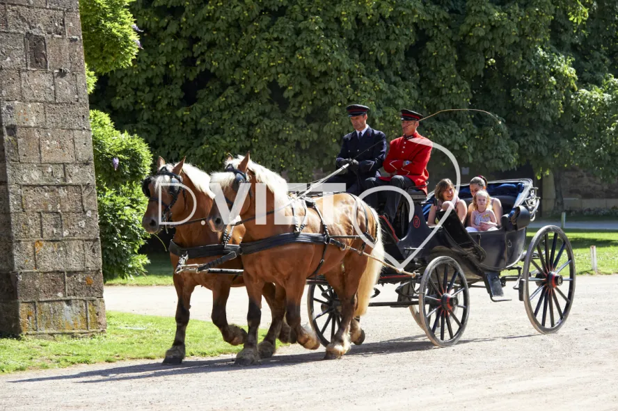 Photo TOULOUSE by VIET - Haras de Rodez