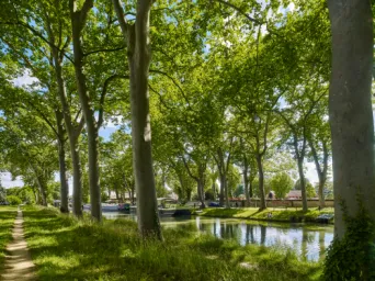 Photo TOULOUSE by VIET - Canal du midi