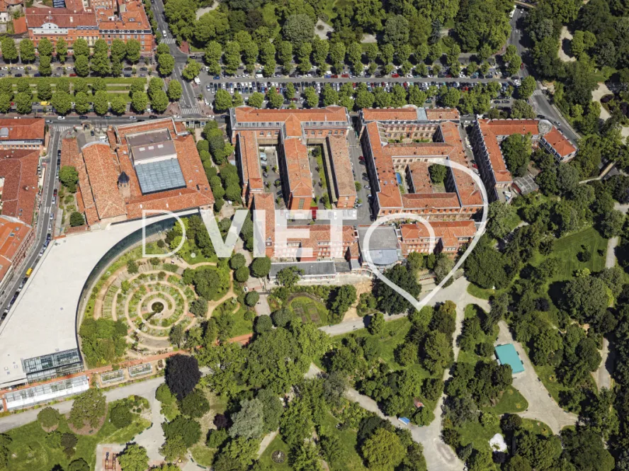 Photo TOULOUSE by VIET - Musee d'histoire naturelle