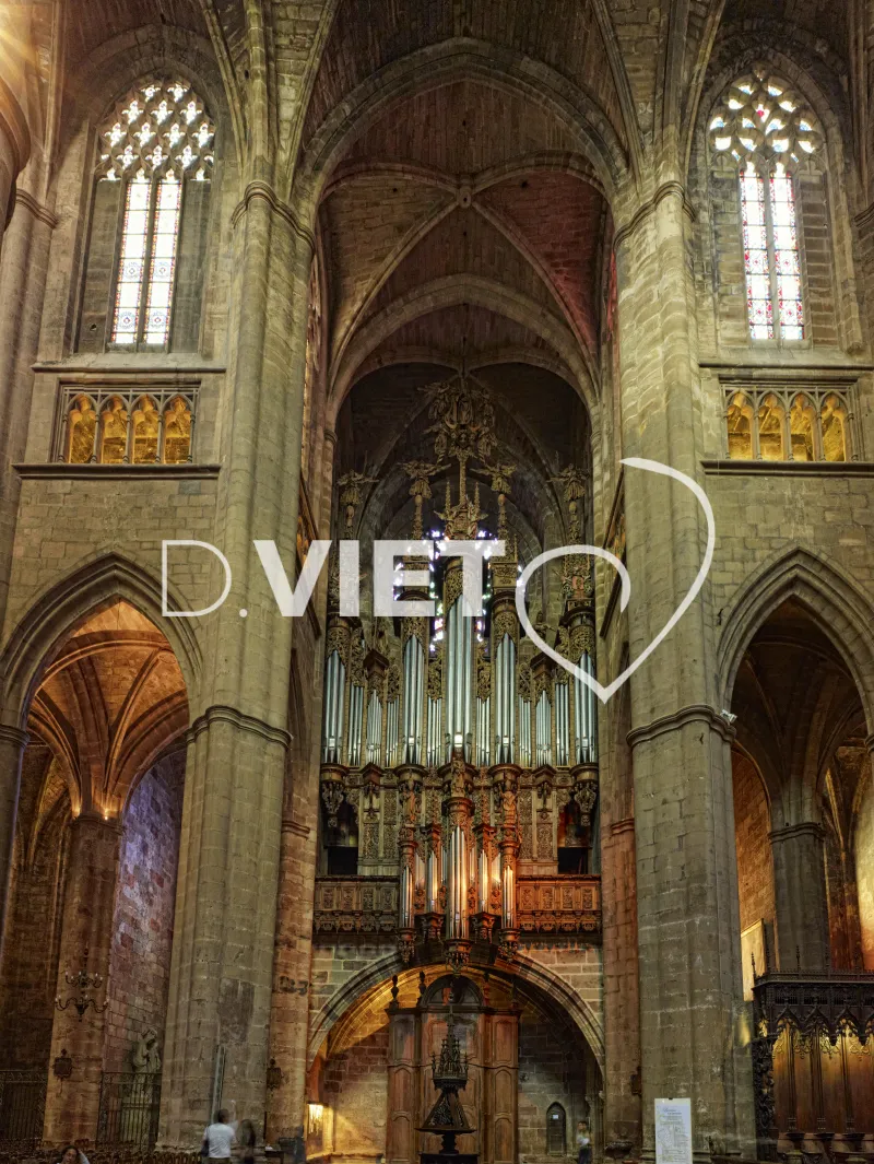 Photo TOULOUSE by VIET - VIET_004994