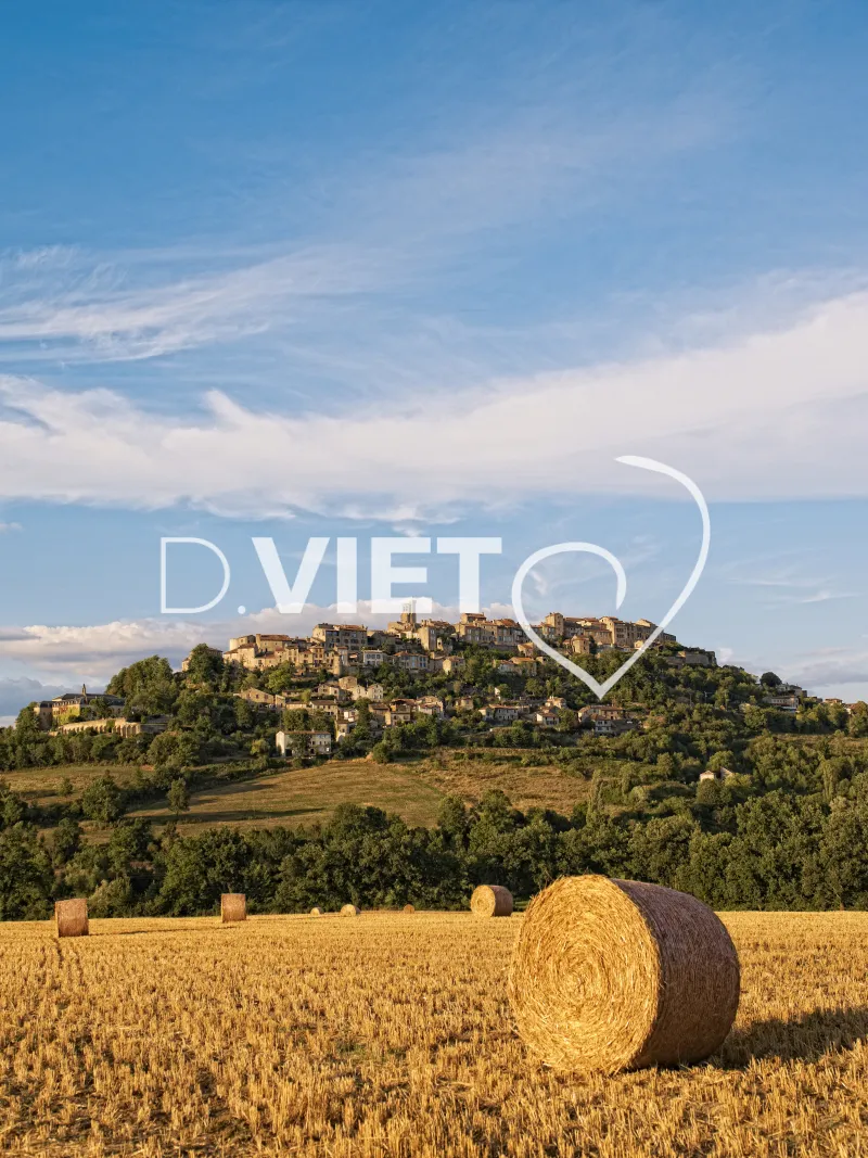 Photo TOULOUSE by VIET - VIET_003124