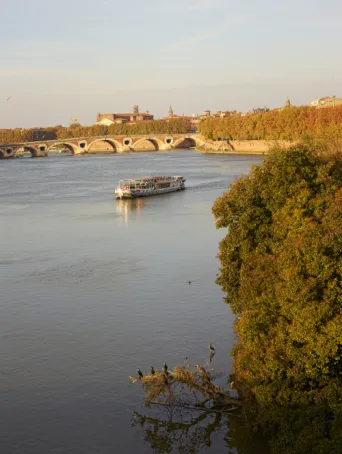 Photo TOULOUSE by VIET - Garonne
