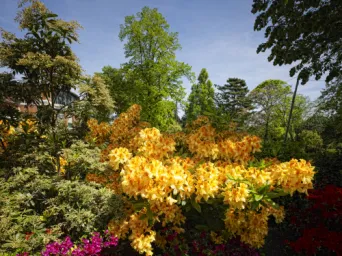Photo TOULOUSE by VIET - Jardin des plantes
