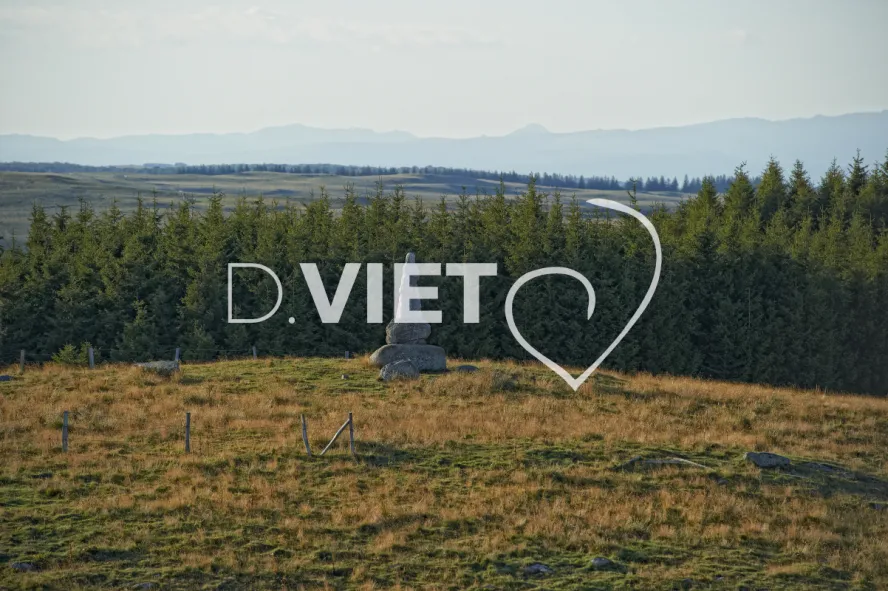 Photo TOULOUSE by VIET - Buron Aubrac