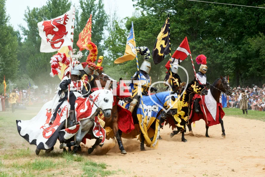 Photo TOULOUSE by VIET - Chevalerie et tournois festifs