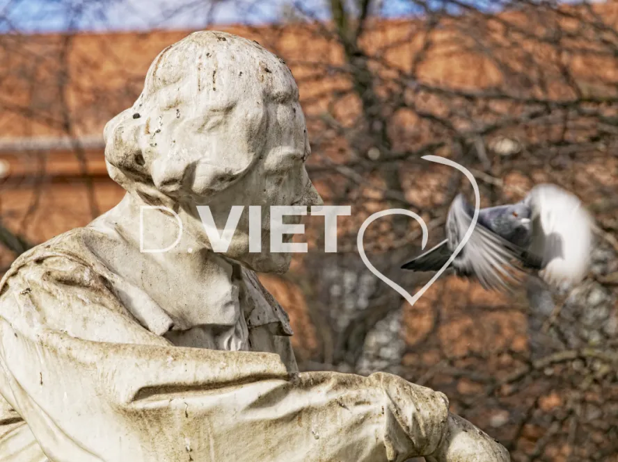 Photo TOULOUSE by VIET - Place Wilson