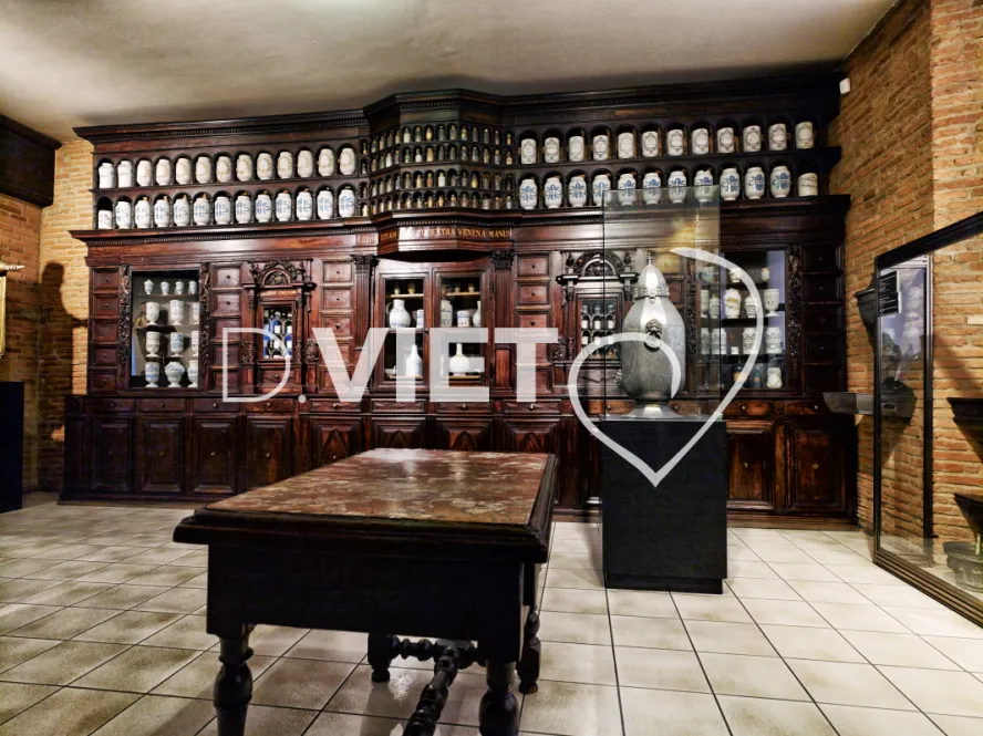 Photo TOULOUSE by VIET - Musée paul Dupuy