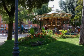 Photo TOULOUSE by VIET - le manege les plantes et le Cardinal