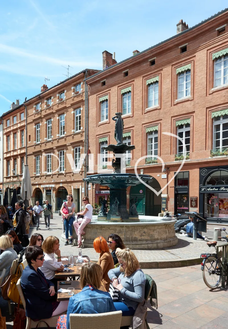 Photo TOULOUSE by VIET - Fontaine et Place salengro