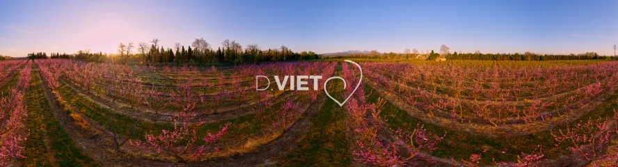 Photo TOULOUSE by VIET - LE CANIGOU