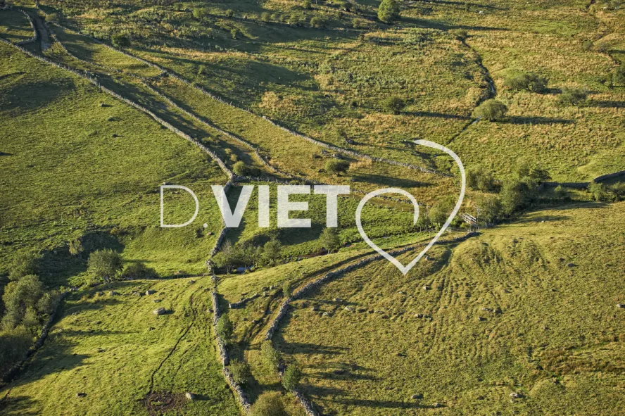 Photo TOULOUSE by VIET - Buron Aubrac