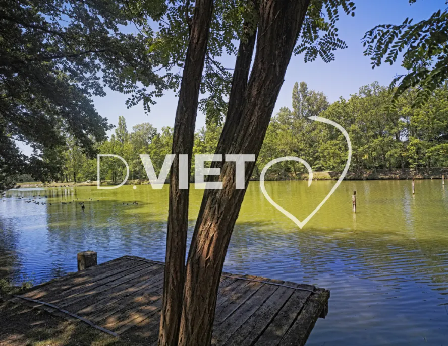 Photo TOULOUSE by VIET - lac de Lenclas