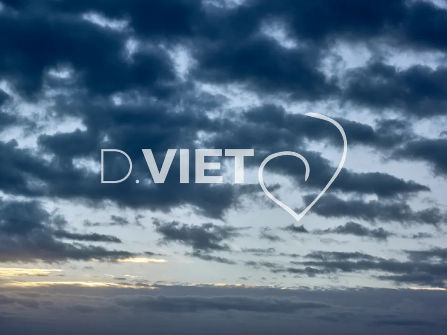 Photo TOULOUSE by VIET - BRUME