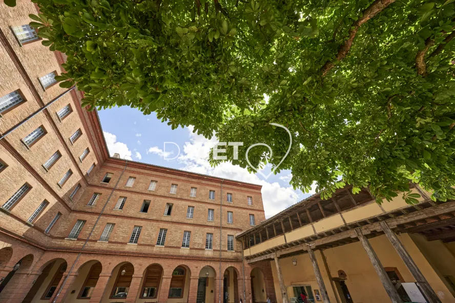 Photo TOULOUSE by VIET - VIET_013602