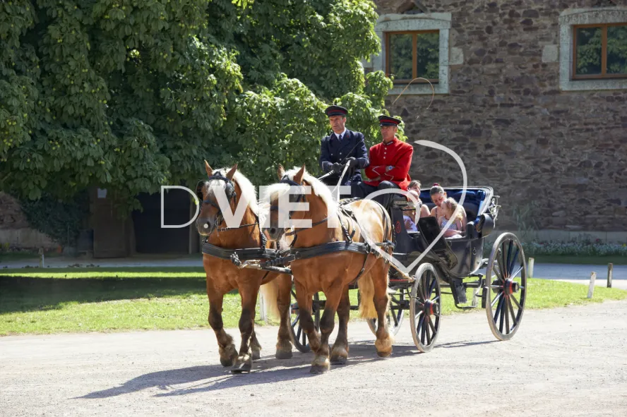 Photo TOULOUSE by VIET - Haras de Rodez