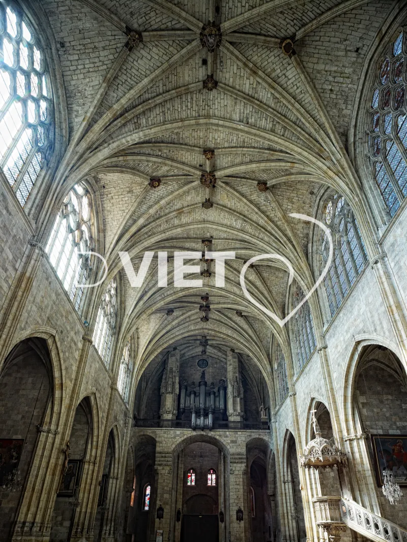 Photo TOULOUSE by VIET - Condom