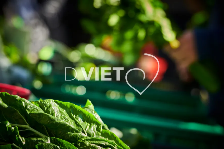 Photo TOULOUSE by VIET - MARCHE SAINT AUBIN