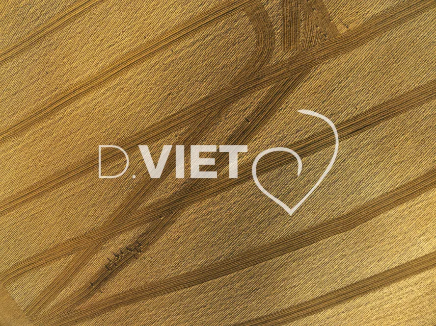 Photo TOULOUSE by VIET - TRACES