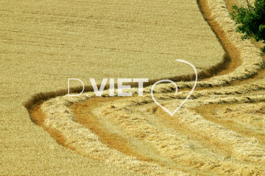 Photo TOULOUSE by VIET - 32 Gers Route de Cavaillet