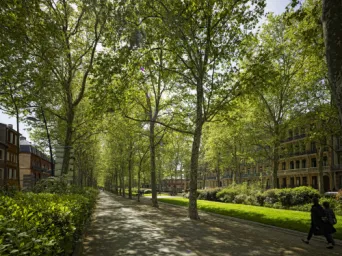 Photo TOULOUSE by VIET - All&eacute;es Fran&ccedil;ois Verdier