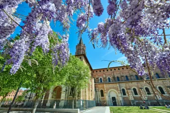 Photo TOULOUSE by VIET - Place de Saint-Sernin et ses glycines