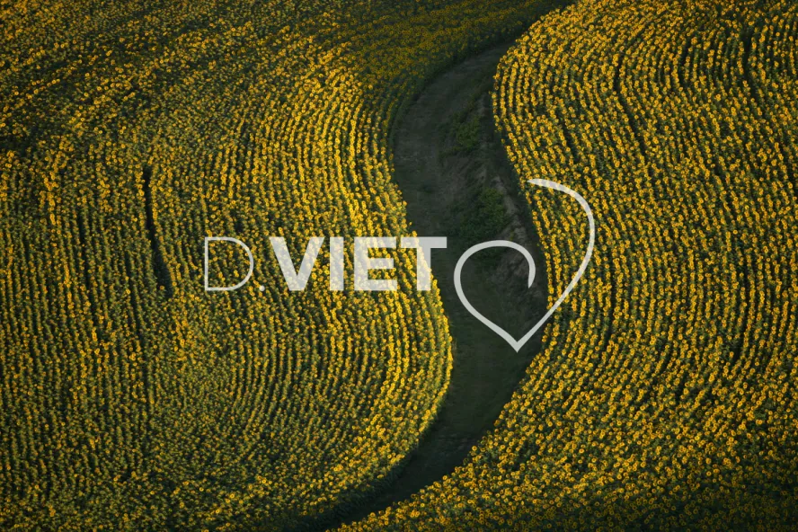 Photo TOULOUSE by VIET - 81LE GAILLACOIS N43°55570 E001°52570 ©VIET 361.com