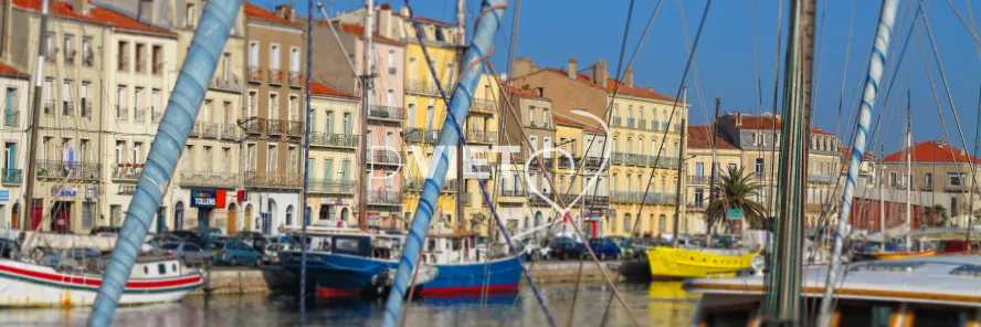 Photo TOULOUSE by VIET - VIET_006700