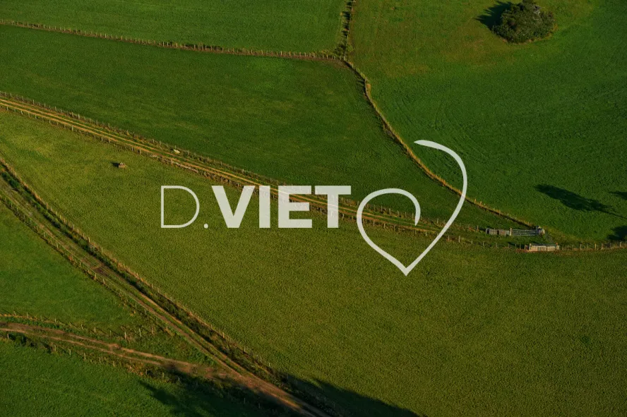 Photo TOULOUSE by VIET - Montpeyroux