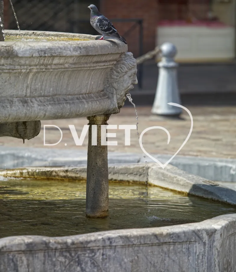 Photo TOULOUSE by VIET - La fontaine Saint-Etienne