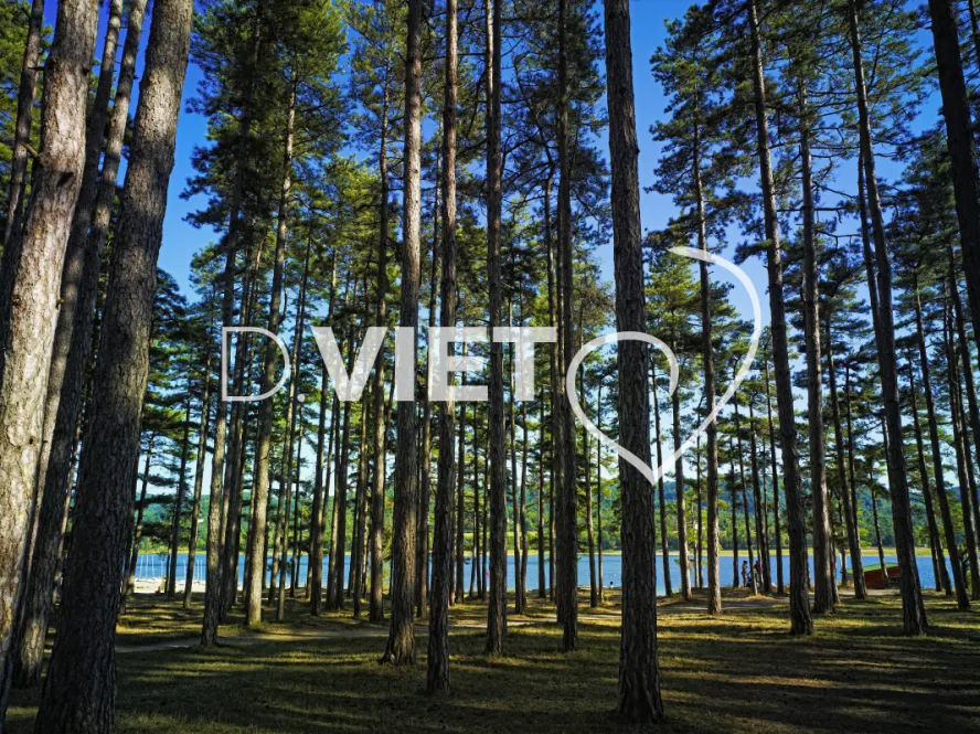 Photo TOULOUSE by VIET - bassin de st ferreol