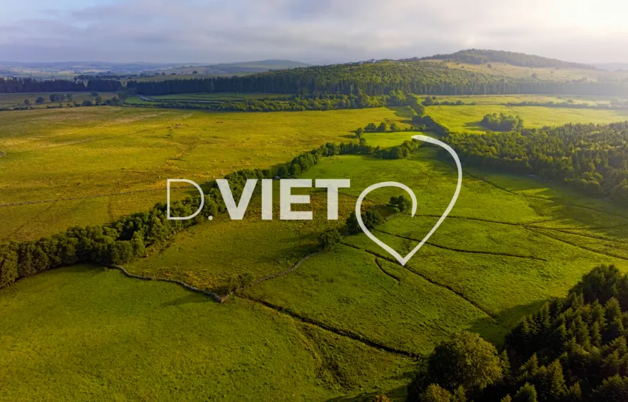 Photo TOULOUSE by VIET - Laguiole