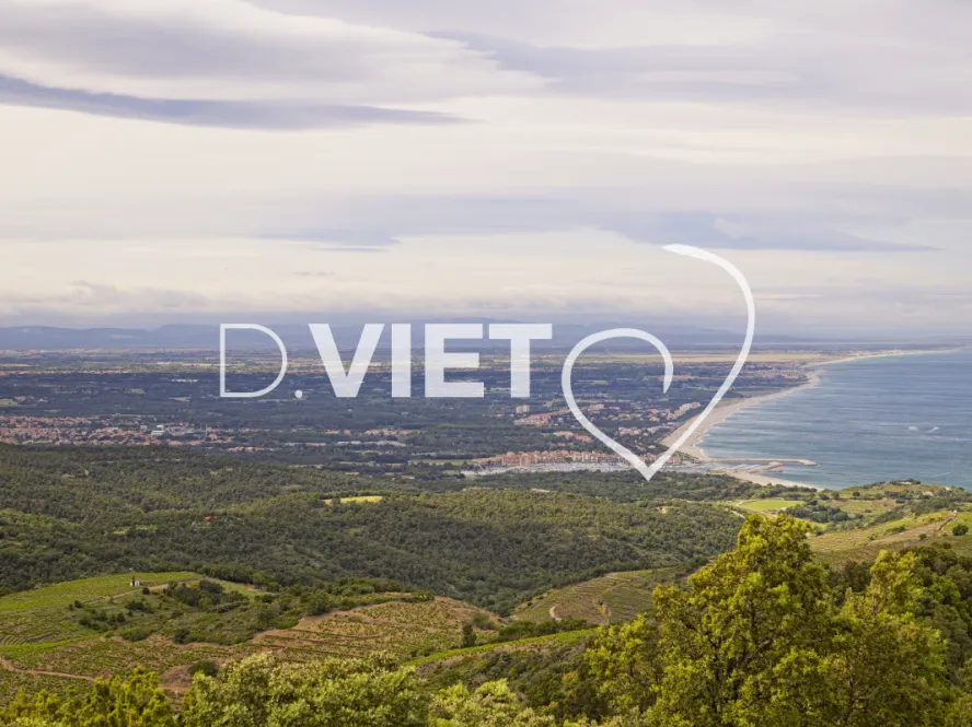 Photo TOULOUSE by VIET - Argeles St Cyprien Canet