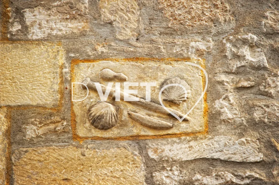 Photo TOULOUSE by VIET - st jacques de compostelle