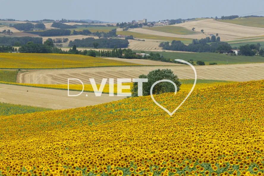 Photo TOULOUSE by VIET - 32 Miradoux