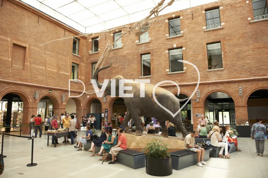 Photo TOULOUSE by VIET - Exposition sur l'eau