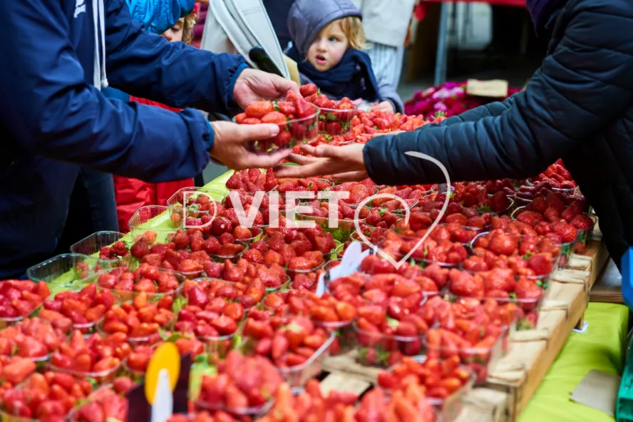 Photo TOULOUSE by VIET - VIET_008899