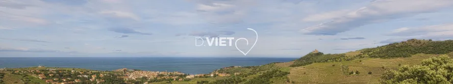 Photo TOULOUSE by VIET - Collioure la baie et le Fort