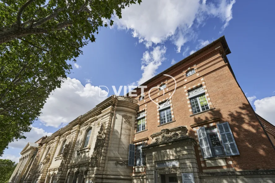 Photo TOULOUSE by VIET - VIET_013632