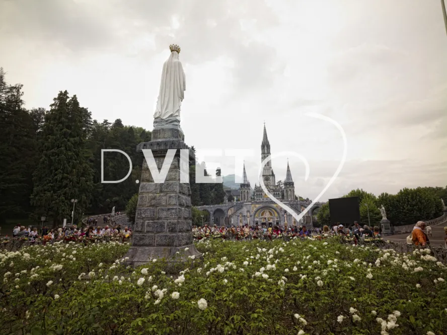 Photo TOULOUSE by VIET - VIET_003226