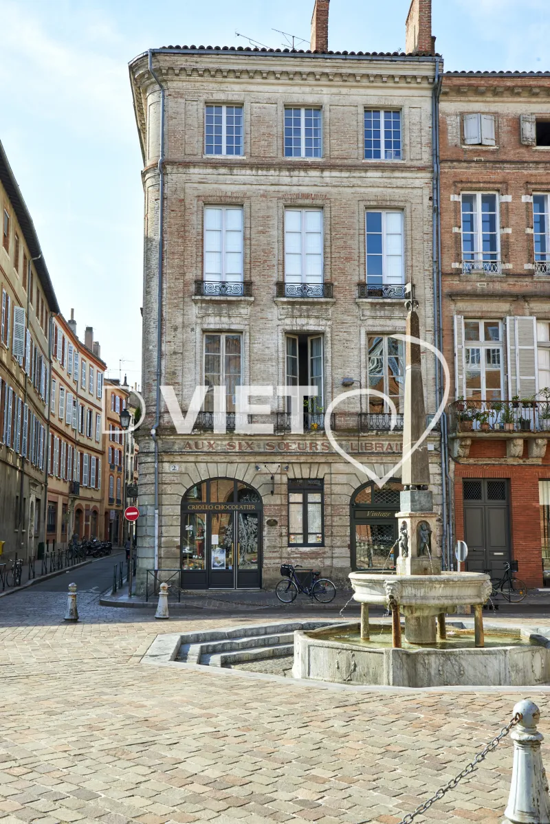 Photo TOULOUSE by VIET - ST ETIENNE