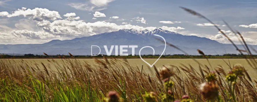 Photo TOULOUSE by VIET - Etangs de Canet Canigou