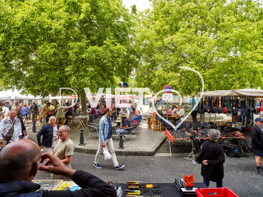 Photo TOULOUSE by VIET - MARCHE A FRONTIGNAN