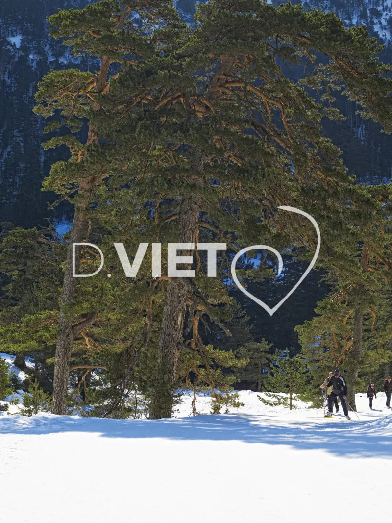 Photo TOULOUSE by VIET - Pont d Espagne lac de gaube vignemale