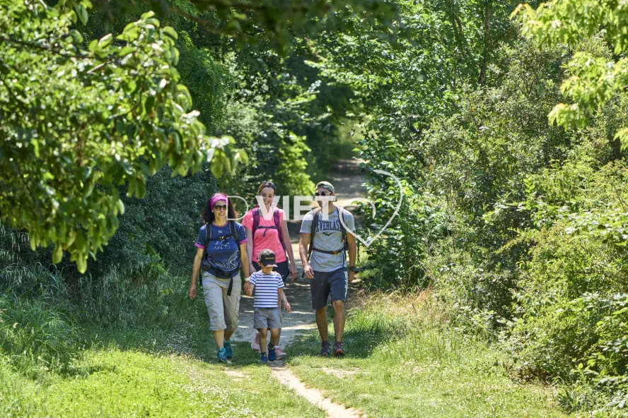 Photo TOULOUSE by VIET - SICOVAL