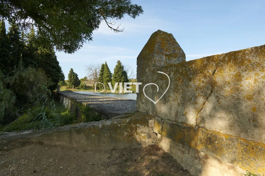 Photo TOULOUSE by VIET - REPRUDE