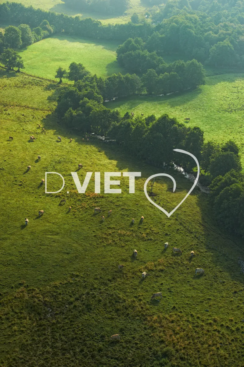 Photo TOULOUSE by VIET - Laguiole