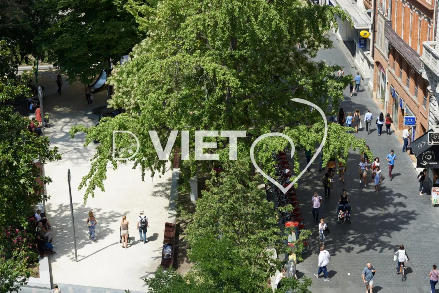 Photo TOULOUSE by VIET - Donjon du Capitole